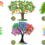 Personality Test Choose A Tree 1