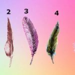 The Feather You Will2111