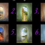 What Path Do you Want to Take Next in Life Choose The Archway and See What it Reveals