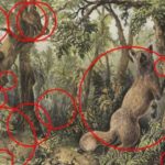 40415eae-a384-447c-8635-5baddc347845