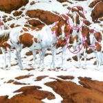 453679d4-e329-41f7-8d79-a953a871e665