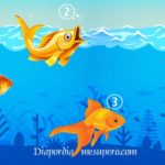 test-los-peces-de-los-deseos