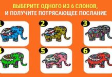 Слоник- талисман подскажет, что нужно сделать для получения своей удачи.