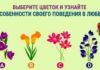 Выбранный вами цветок расскажет о том, как вы ведете себя в любви