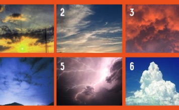 Выберите картинку и узнайте свои лучшие качества