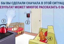 Найдите решение в этой стрессовой ситуации — и это многое о вас расскажет