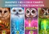 Укажите на одну сову и узнайте, в чем особенность вашего характера