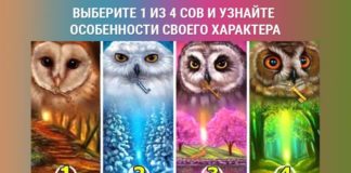 Укажите на одну сову и узнайте, в чем особенность вашего характера