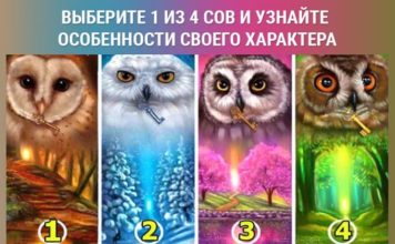 Укажите на одну сову и узнайте, в чем особенность вашего характера