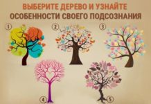 Выберите одно дерево и узнайте все секреты своего подсознания