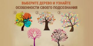 Выберите одно дерево и узнайте все секреты своего подсознания