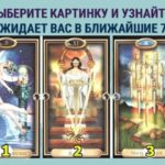 5-696×365