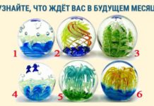 Загляните в хрустальный шар для того, чтобы получить сове предсказание