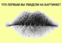 Узнайте побольше о себе, просто посмотрев на картинку