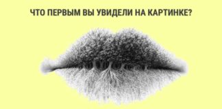 Узнайте побольше о себе, просто посмотрев на картинку