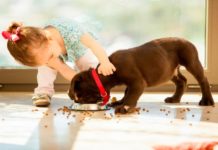 Как домашние животные влияют на воспитание и развитие детей