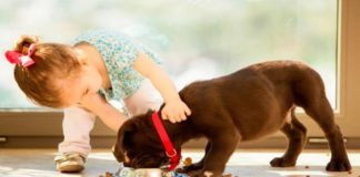 Как домашние животные влияют на воспитание и развитие детей