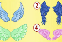 Выберите крылья и узнайте, кто ваш ангел-хранитель