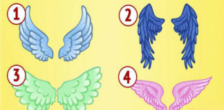 Выберите крылья и узнайте, кто ваш ангел-хранитель