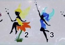 Выберите фею и узнайте лучшую сторону своей жизни