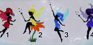 Выберите фею и узнайте лучшую сторону своей жизни