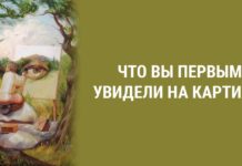 Графический тест-иллюзия раскроет вашу истинную личность
