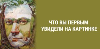 Графический тест-иллюзия раскроет вашу истинную личность