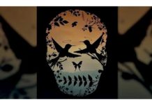 То, что вы видите на этой картинке, расскажет, какой вы человек