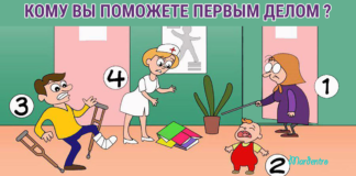 Тест: узнайте тайны своего характера с помощью человека, которому вы поможете в первую очередь.