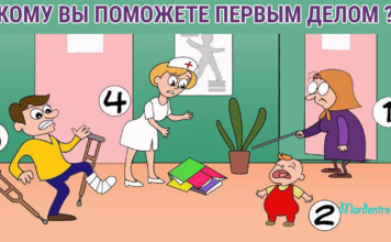Тест: узнайте тайны своего характера с помощью человека, которому вы поможете в первую очередь.