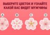 Тест: узнайте, какой вас видят мужчины с помощью цветка