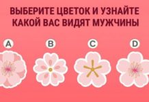 Тест: узнайте, какой вас видят мужчины с помощью цветка