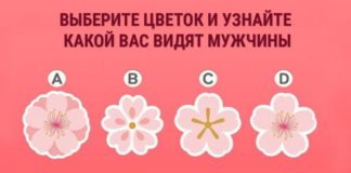 Тест: узнайте, какой вас видят мужчины с помощью цветка