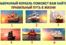 Выберите корабль и узнайте какой путь вам нужно выбрать в жизни.