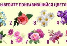 Тест: узнайте о себе разные подробности с помощью букета