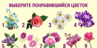 Тест: узнайте о себе разные подробности с помощью букета