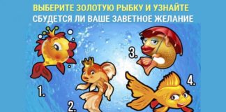 Тест: узнайте, сбудется ваше желание или нет, с помощью золотой рыбки
