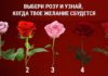 Тест: узнайте, сбудется ли ваше желание с помощью розы.