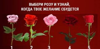 Тест: узнайте, сбудется ли ваше желание с помощью розы.