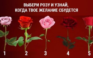 Тест: узнайте, сбудется ли ваше желание с помощью розы.