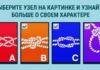 Пройдите тест, чтобы узнать больше о своем характере.