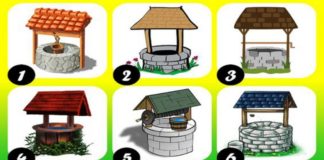 Попробуйте пройти тест, чтобы узнать, как скоро исполниться ваша мечта