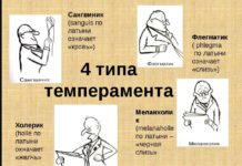 Определим тип вашего темперамента с помощью простых утверждений.