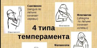 Определим тип вашего темперамента с помощью простых утверждений.