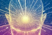 Тест: узнайте, эрудированны ли вы