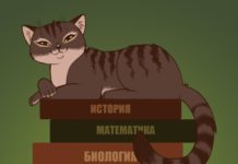 Тест: ваша эрудированность выше средней, если сумеете ответить правильно хотя бы на 10 из 12 вопросов