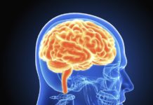 Тест: способны ли вы напрячь свой мозг