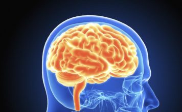 Тест: способны ли вы напрячь свой мозг