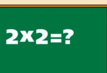 Интересный тест: сколько вы знаете