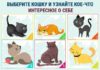 Выберите кошку и узнайте яркую черту своего своего характера